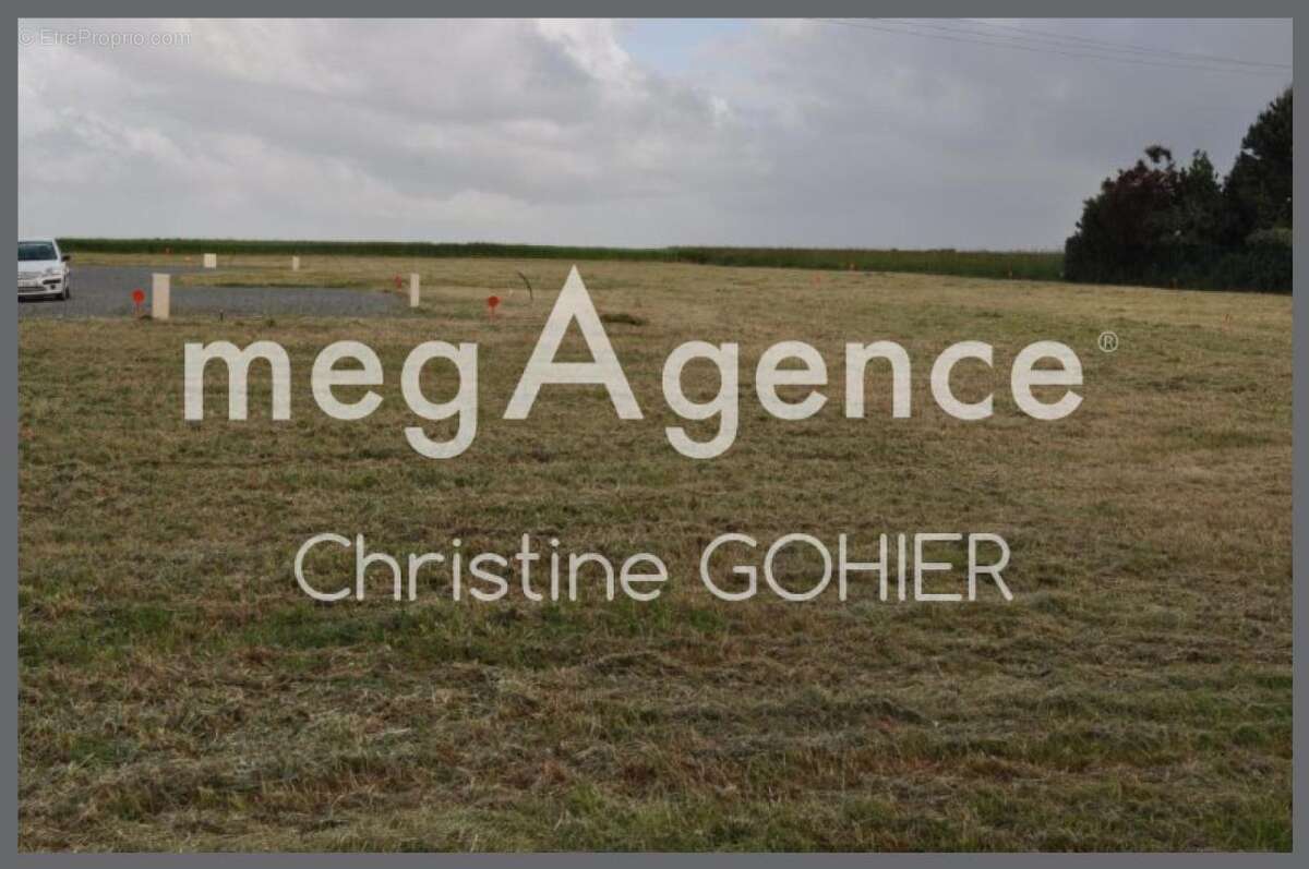 Terrain à TAILLEBOURG