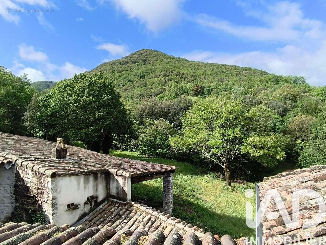 Maison 294 m² à Saint-Thome  - photo 2
