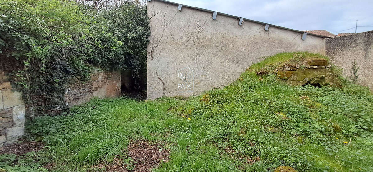 Terrain Orches 1060 m2 - photo 5