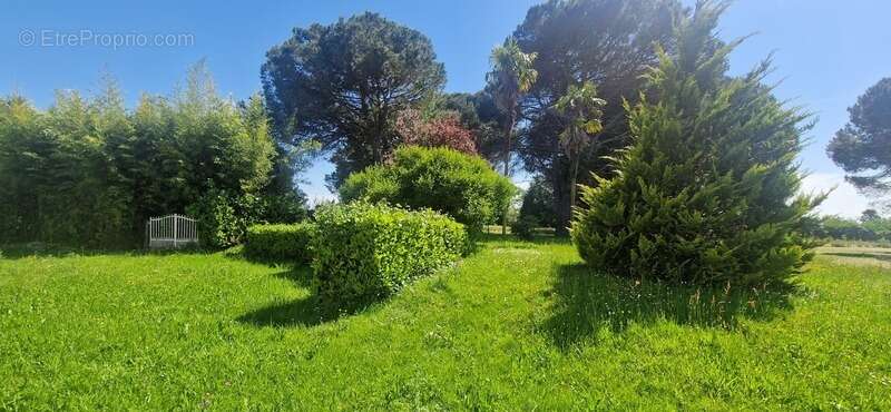 Maison à SAINTE-CHRISTIE-D&#039;ARMAGNAC