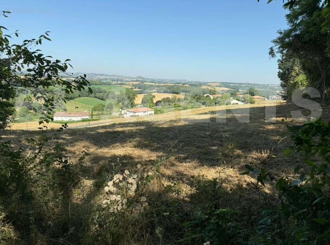 1000024633 - Terrain à SAINT-GERMIER