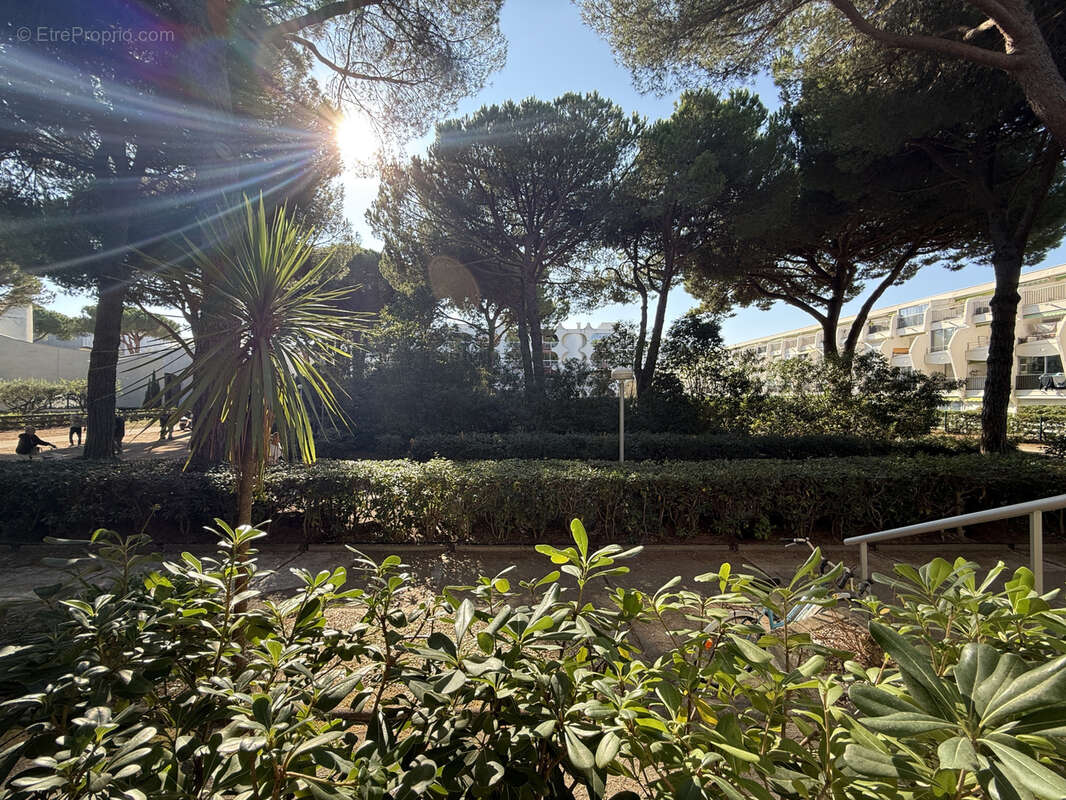 Appartement T3 de 73m2 traversant  La Grande Motte - Loggia Plage Proche, garage possible - photo 8