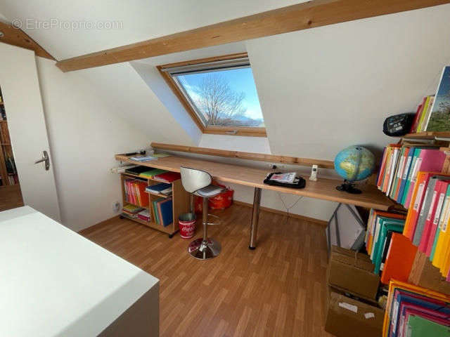 IMG_7326 - Maison à OLORON-SAINTE-MARIE