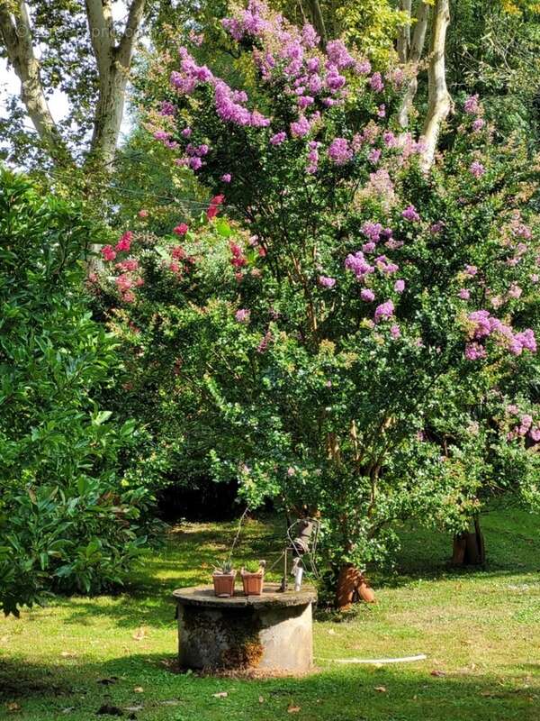 Maison à vendre 3 pièces LABASTIDE D'ARMAGNAC (40) - photo 16