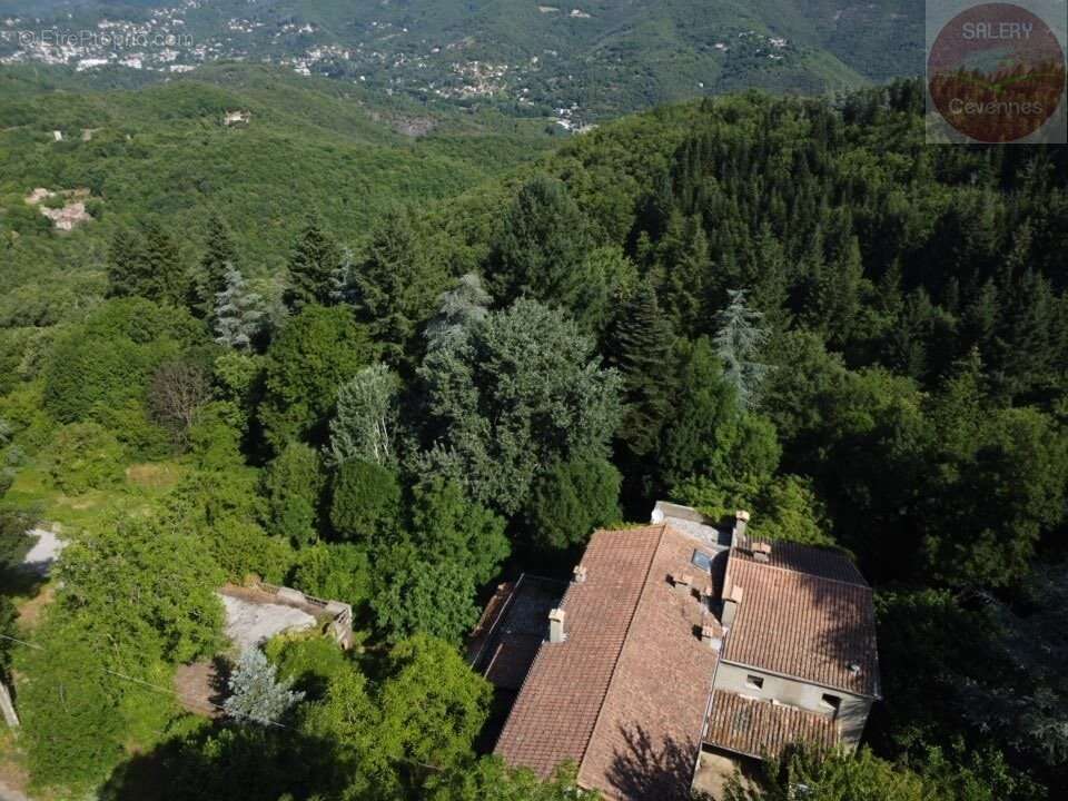 Mas de caractère avec piscine, dépendances et 6 hectares de terrain - photo 4
