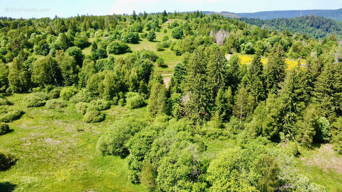Maison à RAMONCHAMP