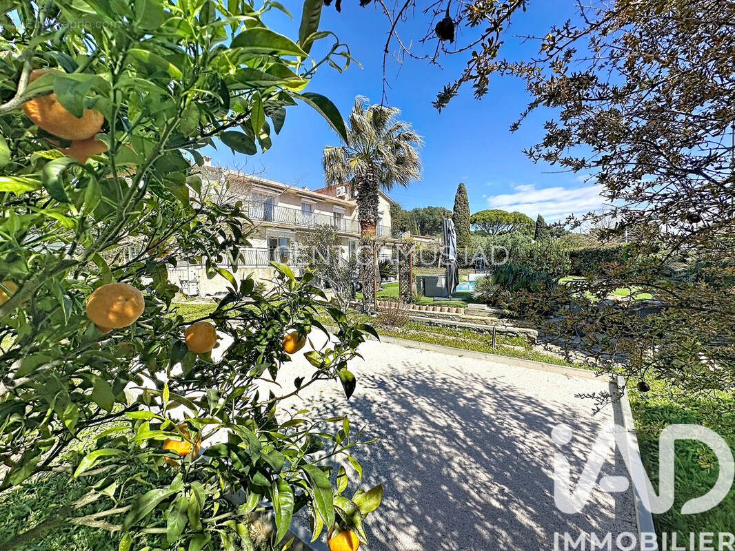 Photo 1 - Maison à SANARY-SUR-MER