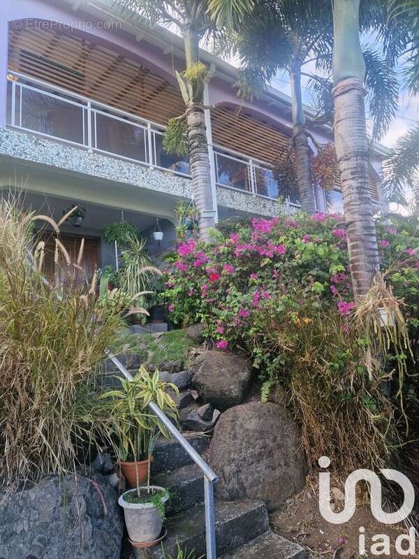 Photo 5 - Appartement à BASSE-TERRE