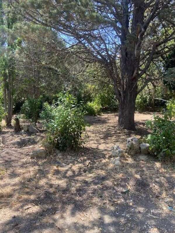 Photo 2 - Maison à CABRIES