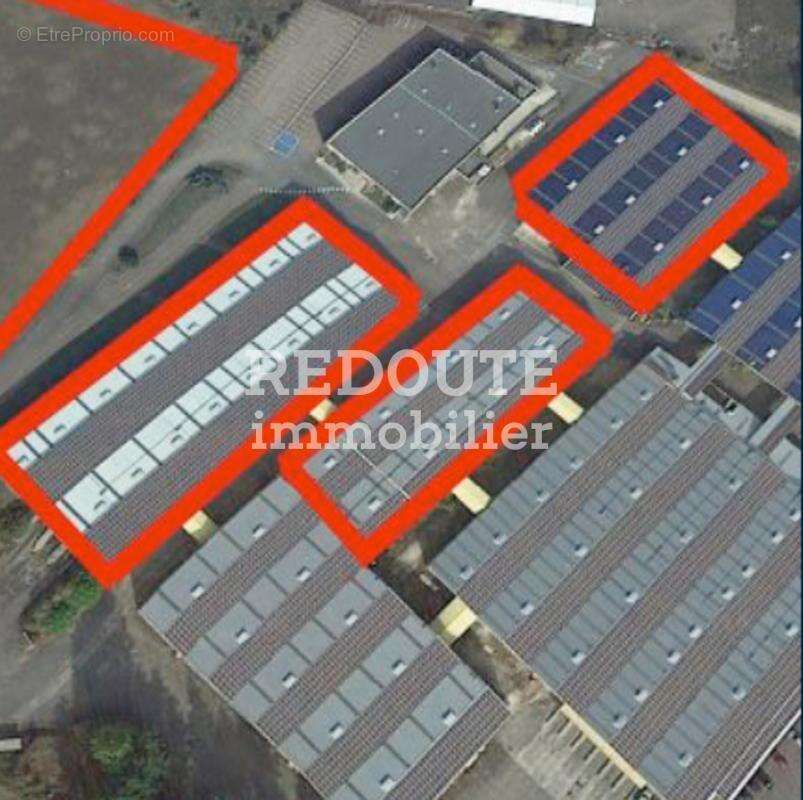 Commerce à SELONGEY