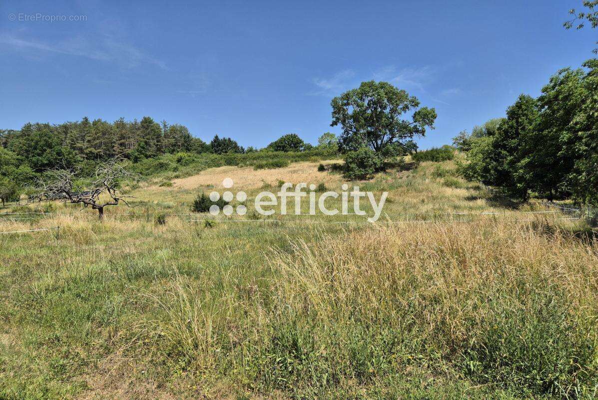 Maison à CHOUZY-SUR-CISSE