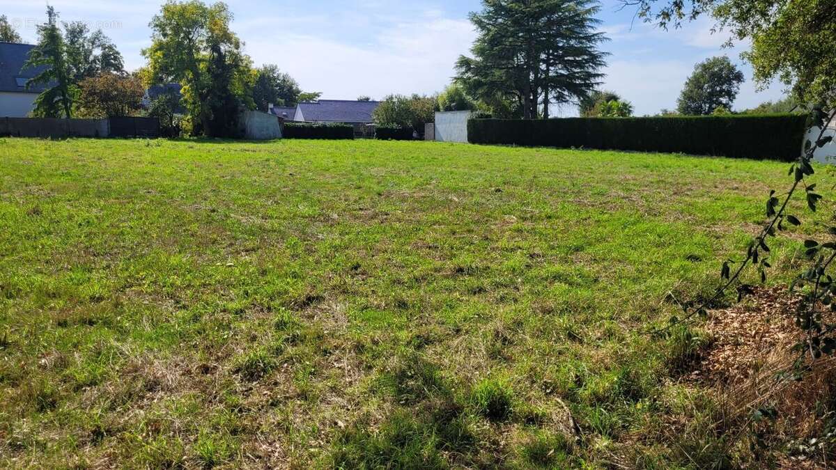 Terrain à LA CHAPELLE-SUR-ERDRE