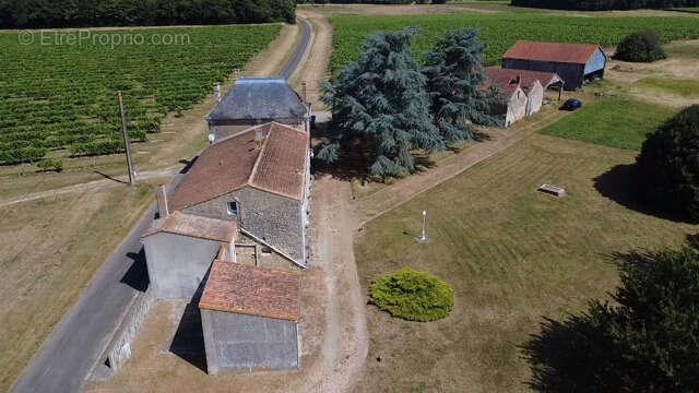 COZES Ancienne propriété viticole 305 m2 habitables 7 chambres 17 pièces au total - photo 31