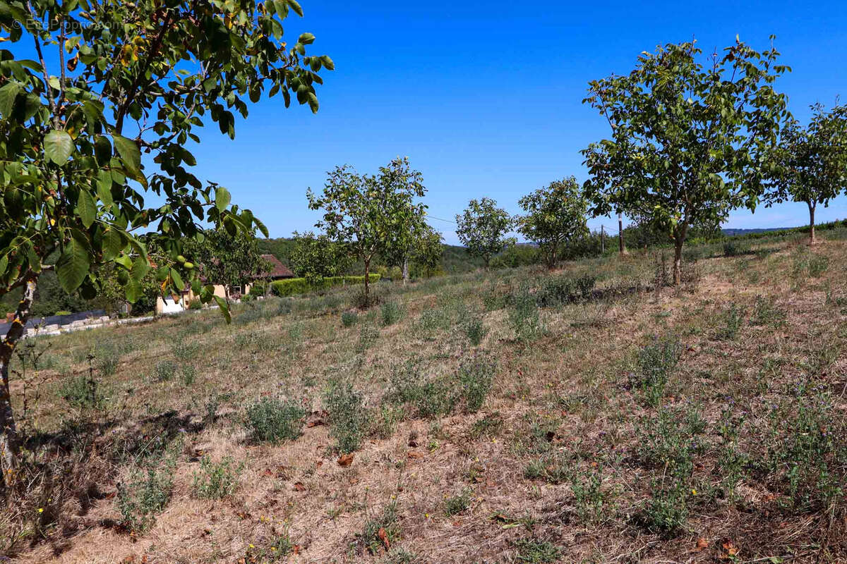 Terrain à SARLAT-LA-CANEDA