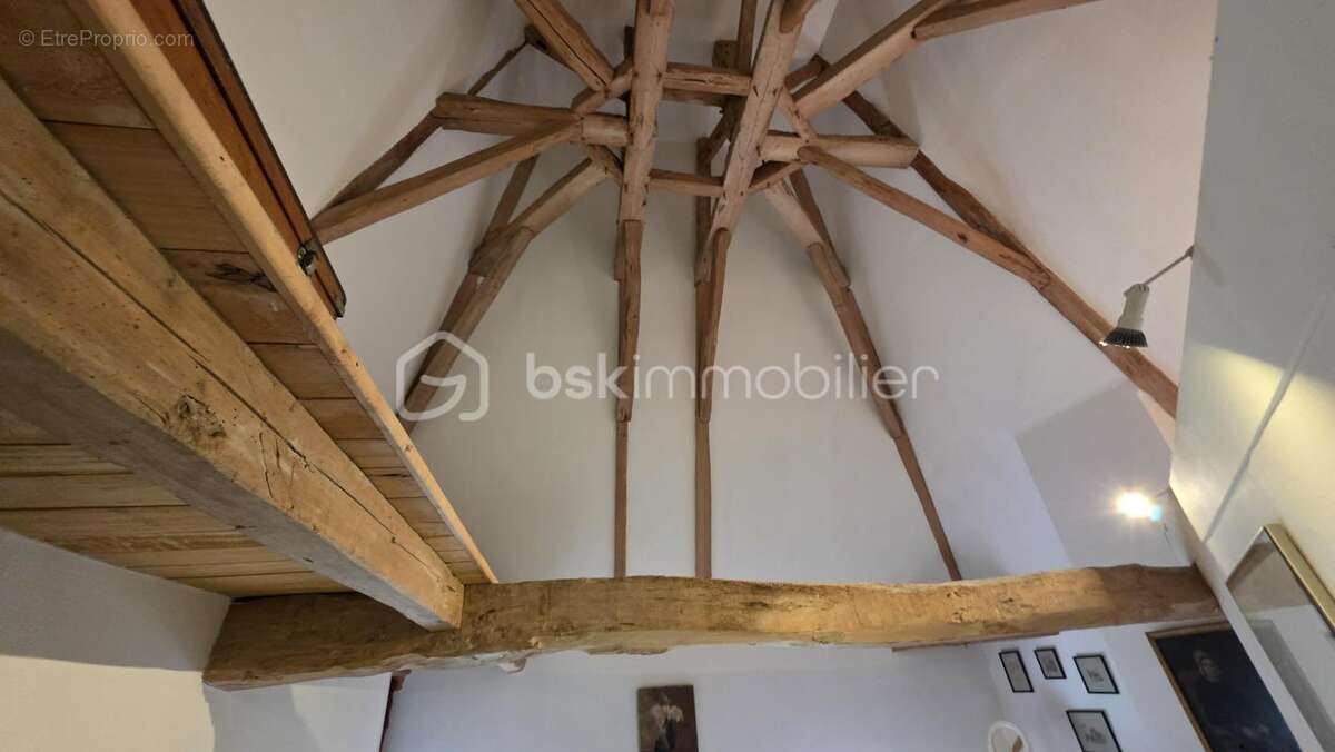 Moulin et dependances -jardin de 4 hectares - photo 21