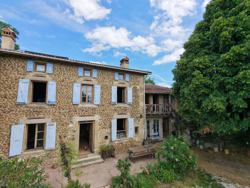 Grande maison de caractère - 356 m² sur terrain de 28 000m2 - Albon - photo 2