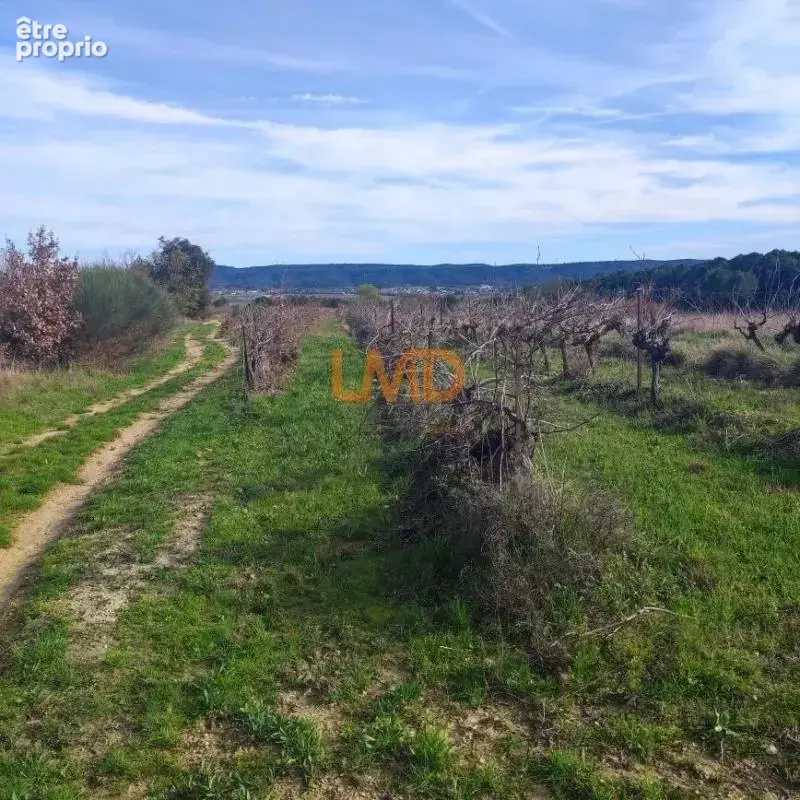 Terrain Agricole et de Loisir - Nature et grand espace - photo 2