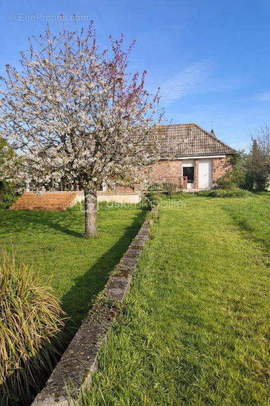 RUMIGNY Pavillon 3 chambres, sous-sol complet, terrain 1 598 m² - photo 16