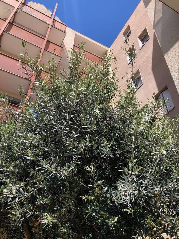 Appartement à BEZIERS