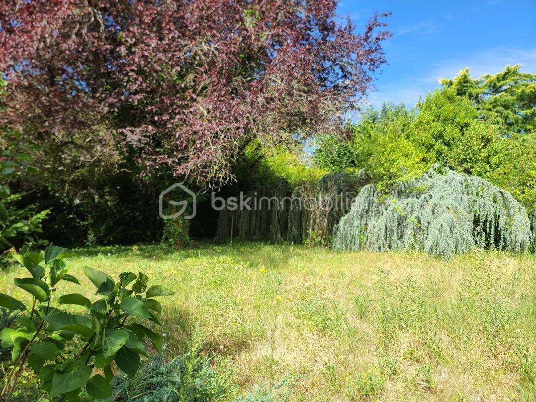 Terrain constructible de 1015m2 - photo 2
