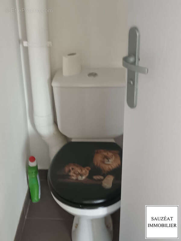 "Immeuble" 1 Commerce et 3 Appartements Touraine CVDL - photo 13