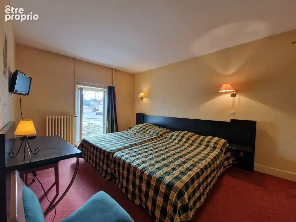 Maison 23 pièces 556 m² à vendre à Sancoins (18600) - photo 5