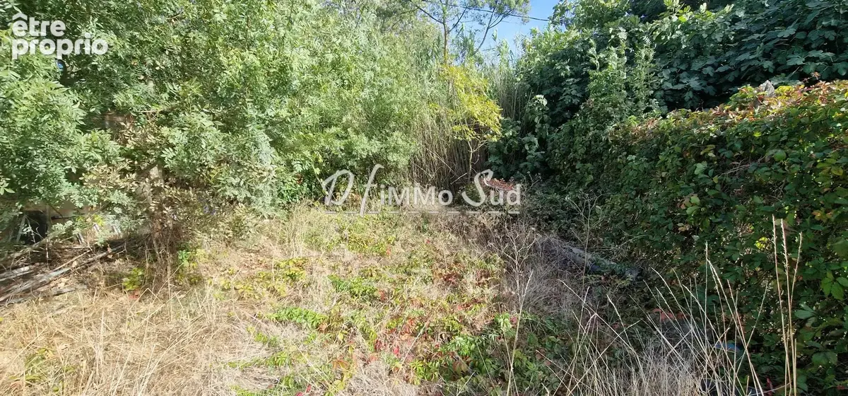 Terrain de loisirs avec éléctricité et puit - photo 3