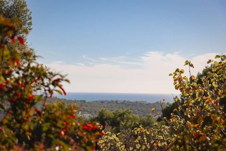 Terrain à LA VALETTE-DU-VAR