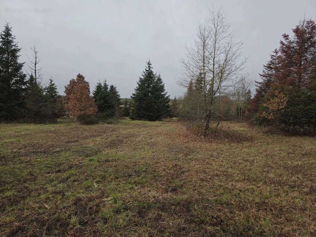 Grand terrain constructible avec certificat d’urbanisme, proche de Monségur - photo 6