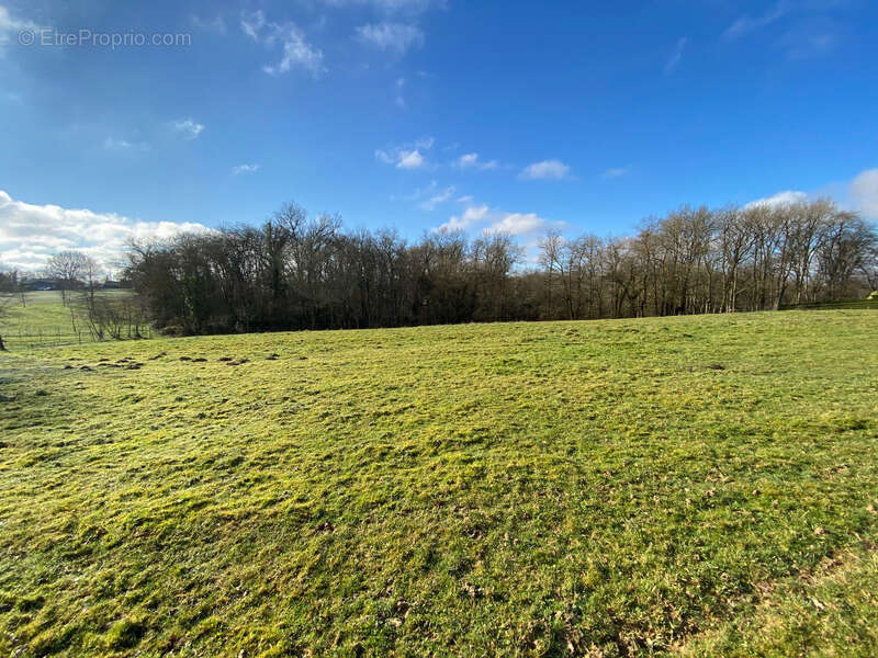 Terrain à BARCELONNE-DU-GERS