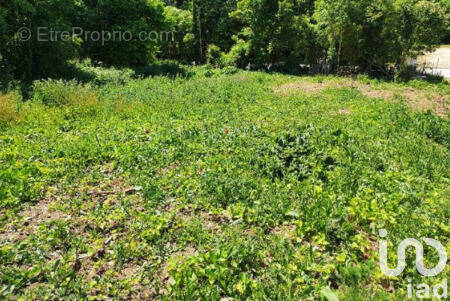 Photo 1 - Terrain à AUNEAU