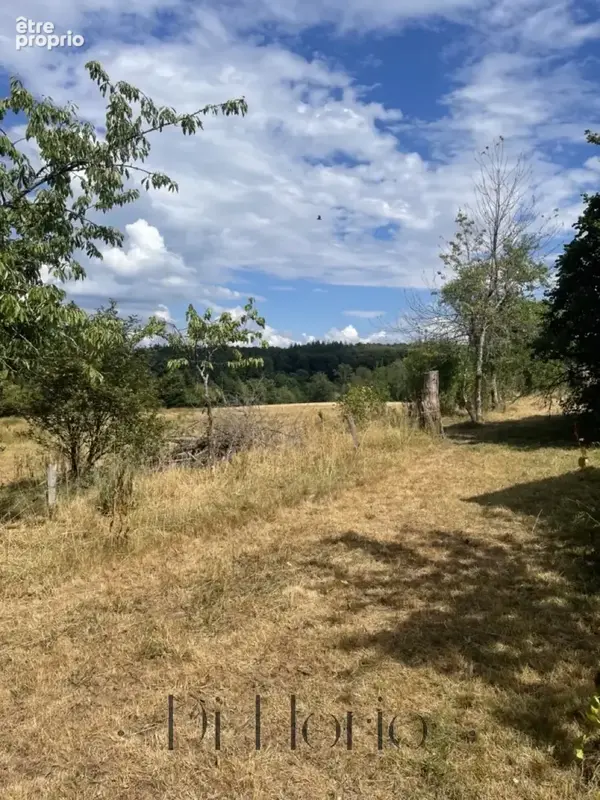 URIMÉNIL   RARE   Ferme authentique avec environ 3 hectares de terrain - photo 29