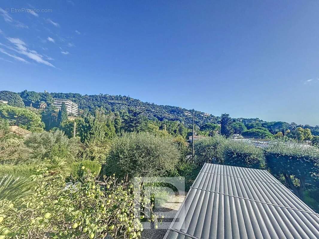 Basse Californie - Quartier Isola Bella - Maison familiale - photo 11