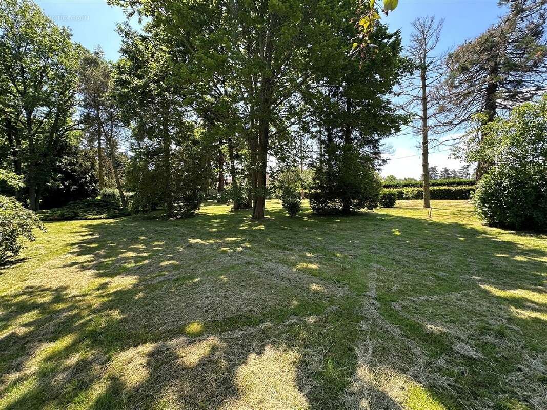 Maison à CHATEAUNEUF-EN-THYMERAIS