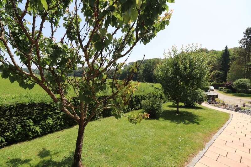 Au milieu des champs - photo 14