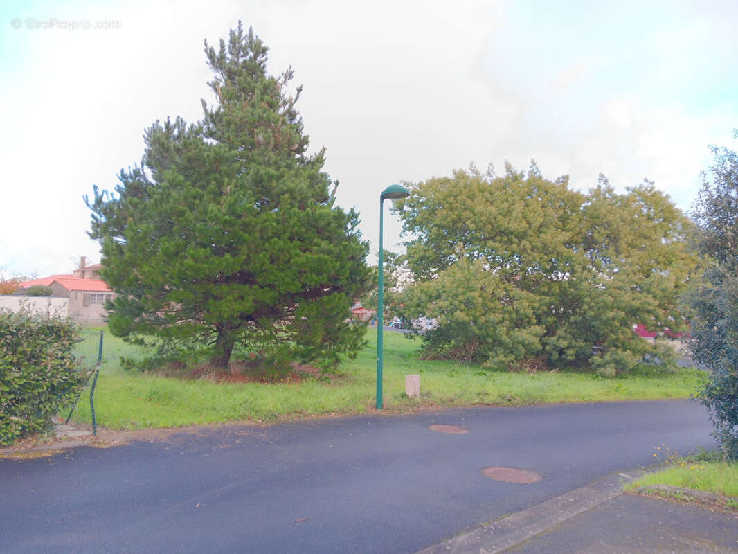 Terrain à SAINT-MICHEL-EN-L&#039;HERM