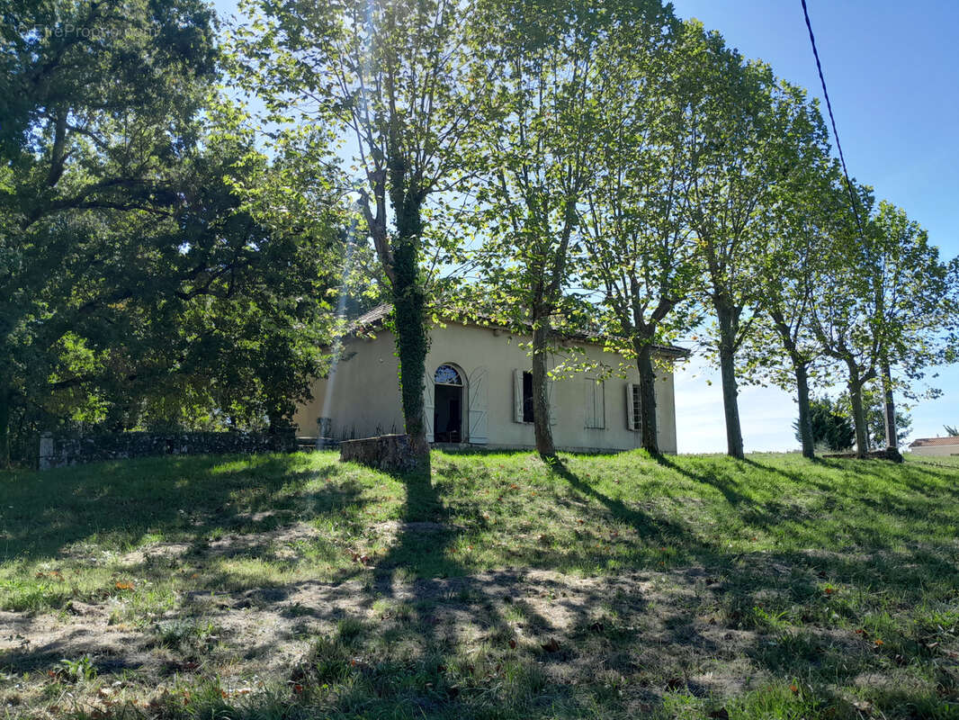 Maison de Maître à restaurer 3 chambres séjour Terrain 27 000 m2 arboré - photo 2