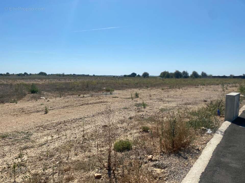 Terrain 1178 m² à Vendres  - photo 2