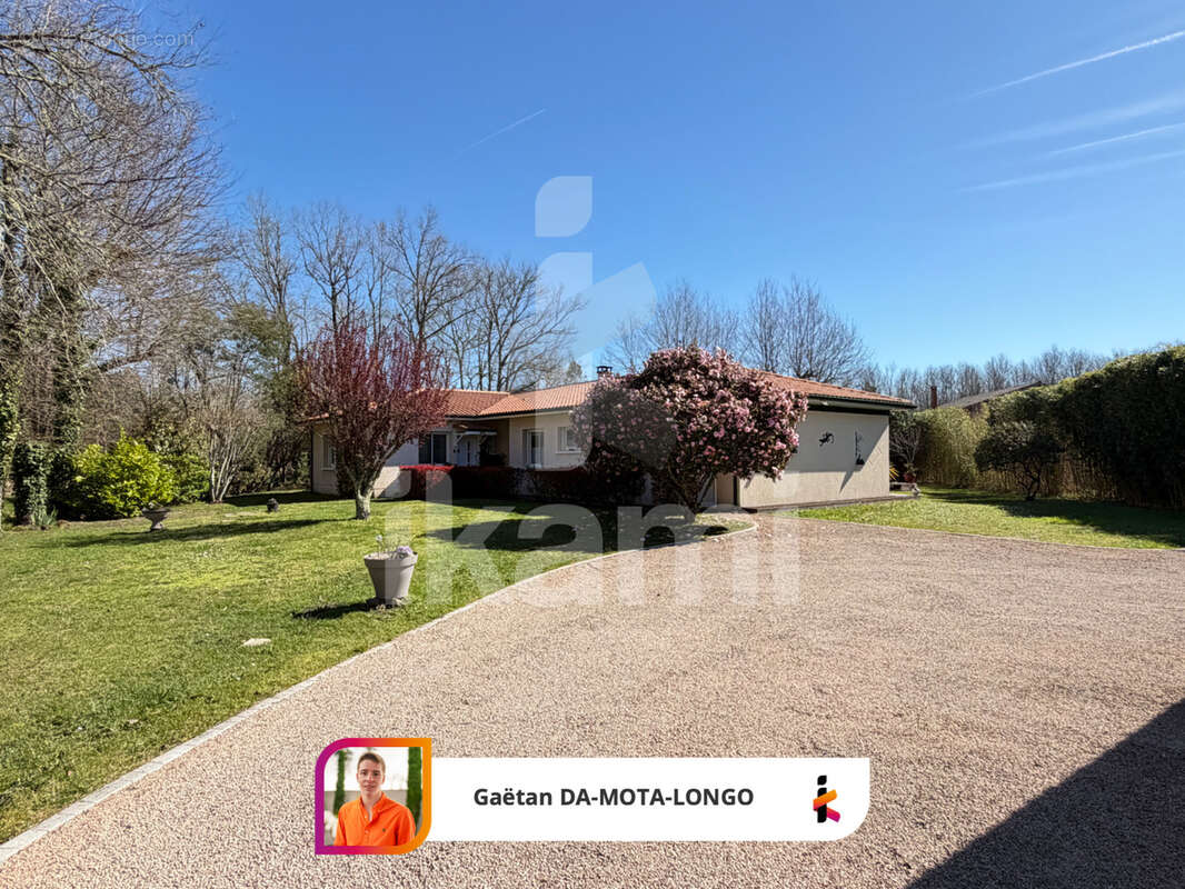 Maison familiale avec dépendances   cadre exceptionnel en lisière de forêt - photo 11