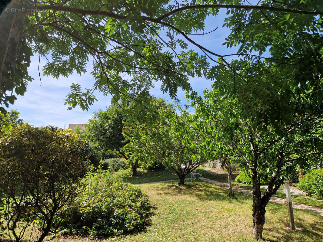 Maison bourgeoise 214 m2 en cœur de ville, avec piscine et jardin magnifique de 1300 m2. Garage, cave - photo 30