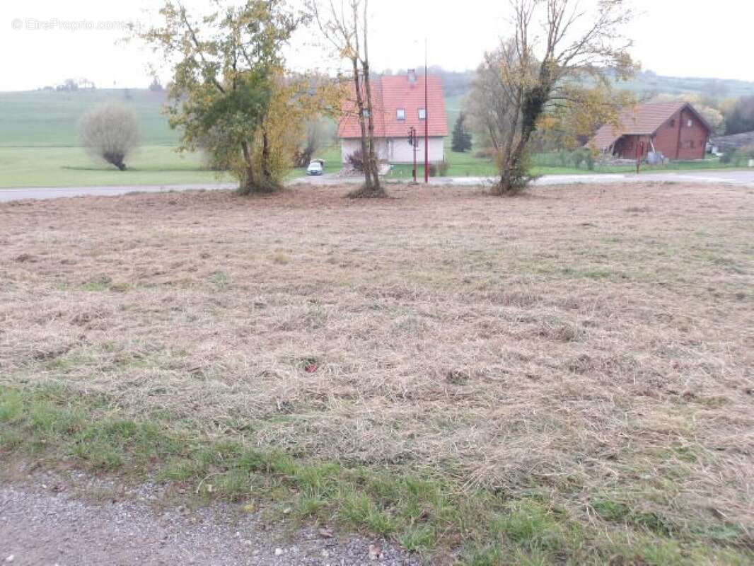 Terrain à GOERLINGEN