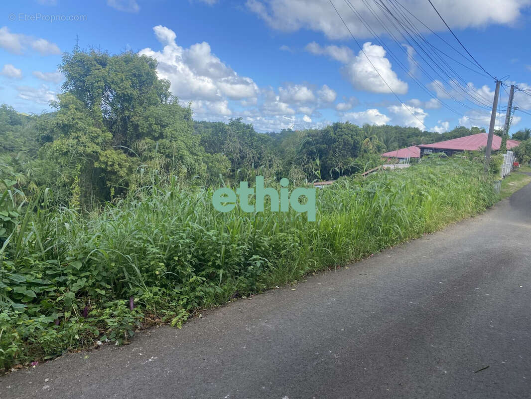 Terrain à LE GOSIER