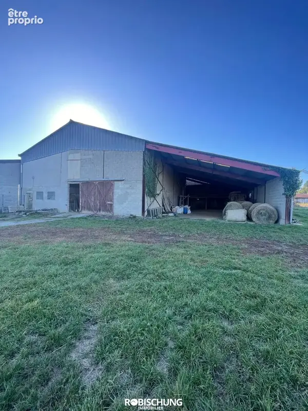BUETHWILLER : Un potentiel rare, à découvrir - photo 9