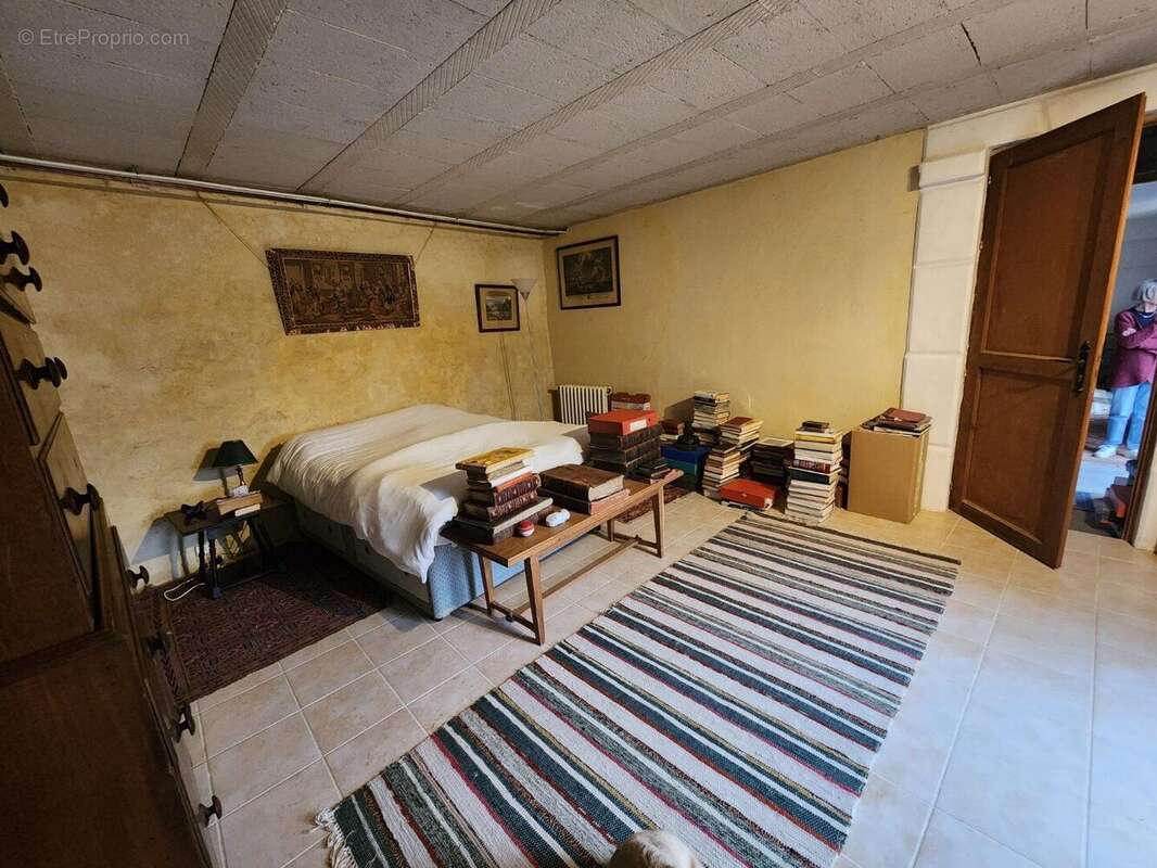 Confolens - Deux maisons avec caractre jardin prive - possible business/maison pour grand famille - photo 15
