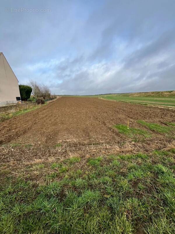 Terrain à BEVILLE-LE-COMTE