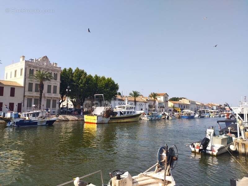 Commerce à LE GRAU-DU-ROI