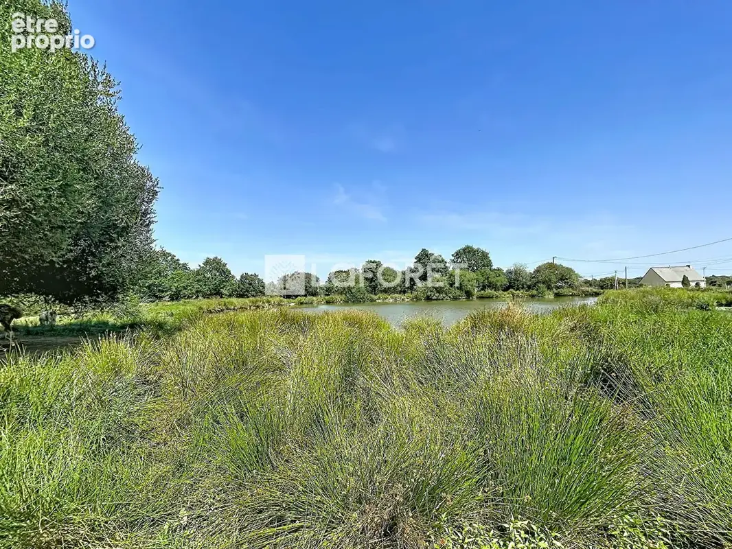 Terrain Allaire 16500 m2 - photo 2
