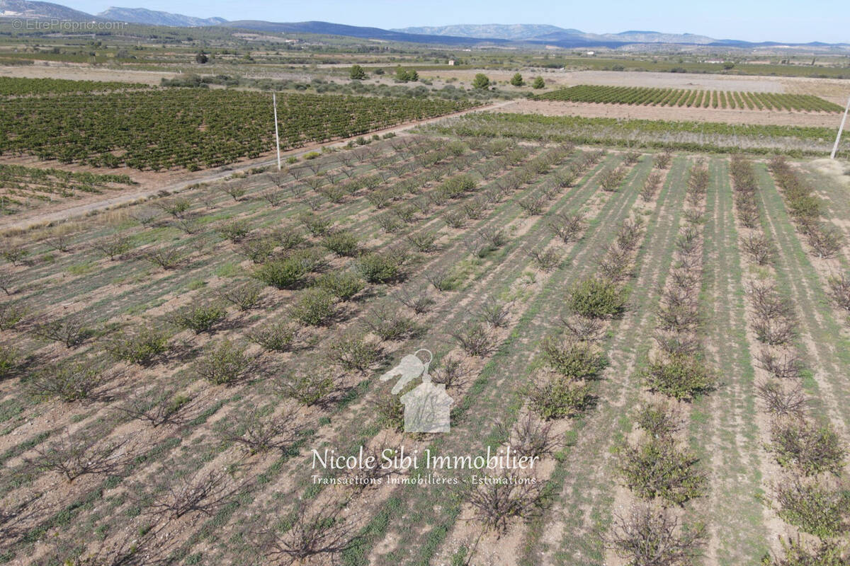 Terrain à ESPIRA-DE-L&#039;AGLY