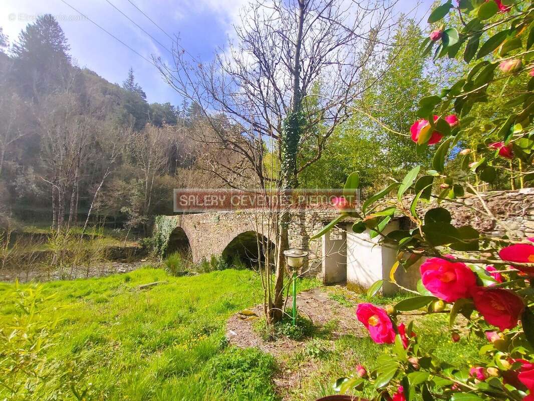 Maison à SAINT-ANDRE-DE-VALBORGNE