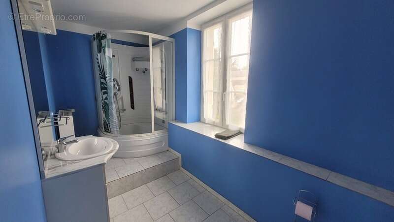 Maison à LE GRAND-PRESSIGNY